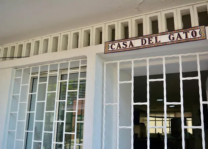 Casa Del Gato