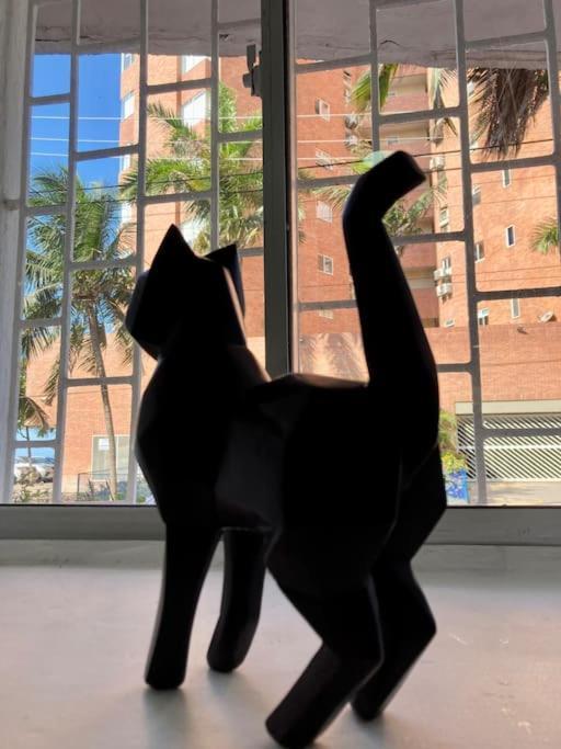 Casa Del Gato Apartamento
