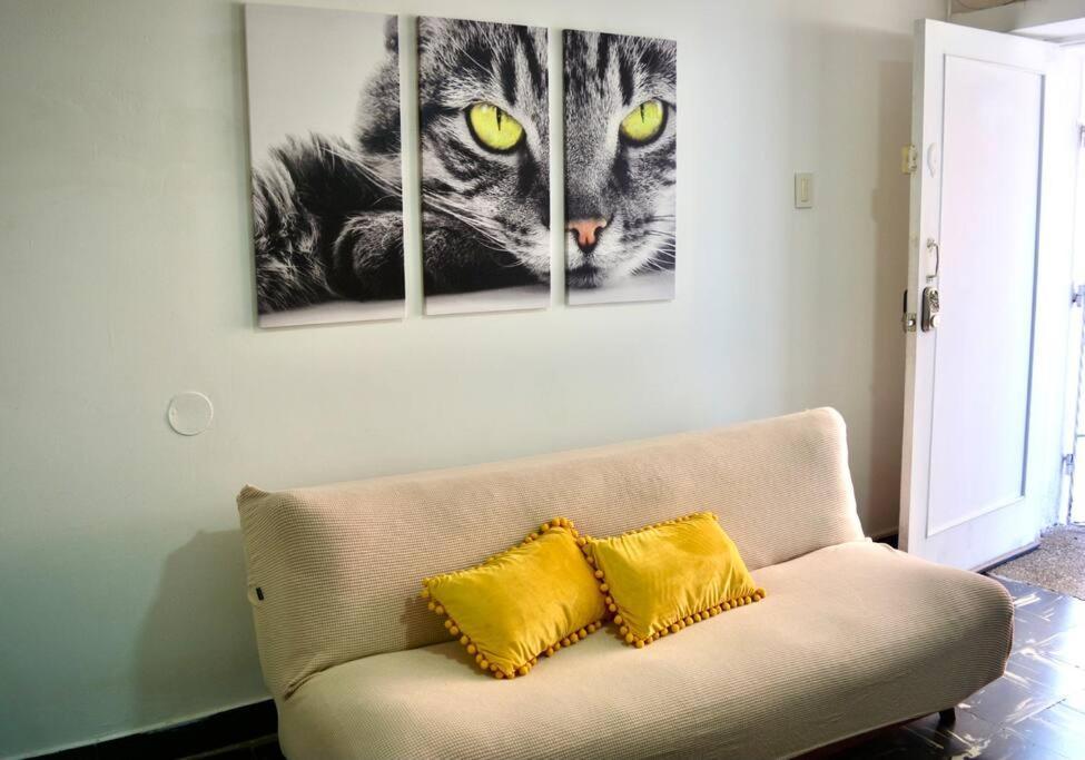 Casa Del Gato Apartamento *