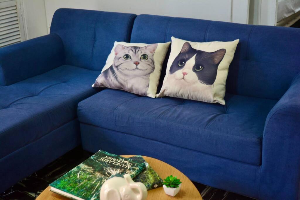 Casa Del Gato