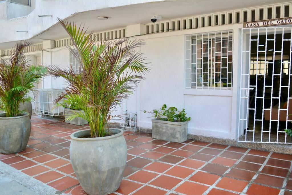 Casa Del Gato