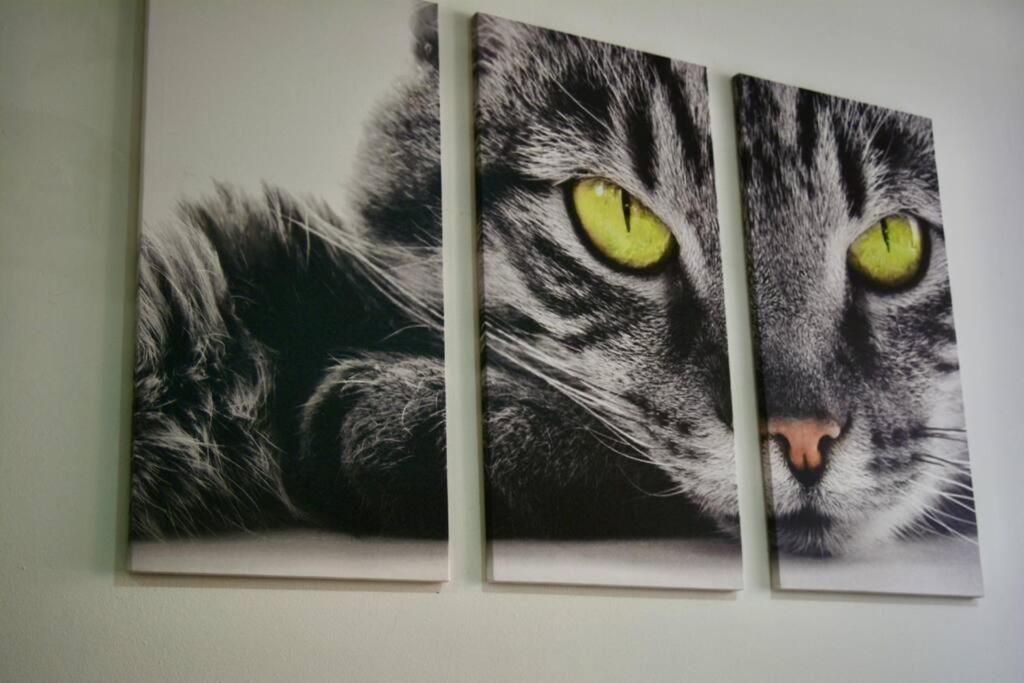 Casa Del Gato Apartment Cartagena