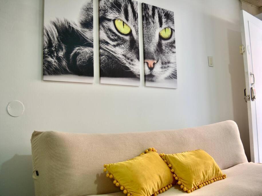Casa Del Gato *