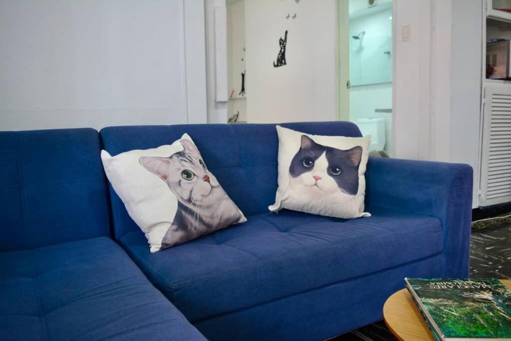 Casa Del Gato Cartagena