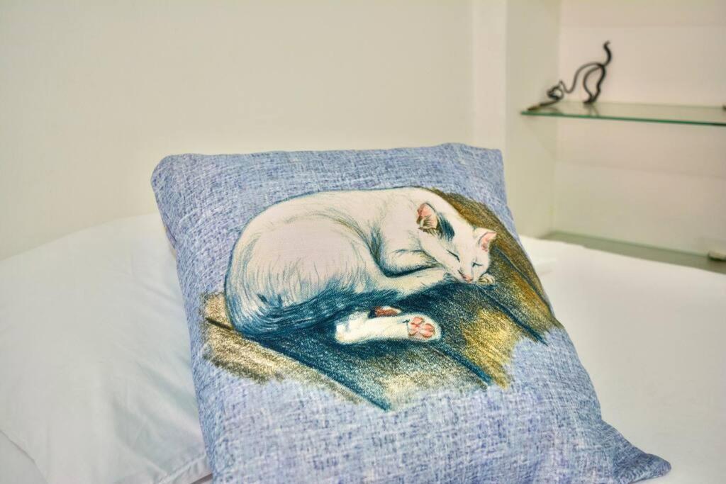 Casa Del Gato *