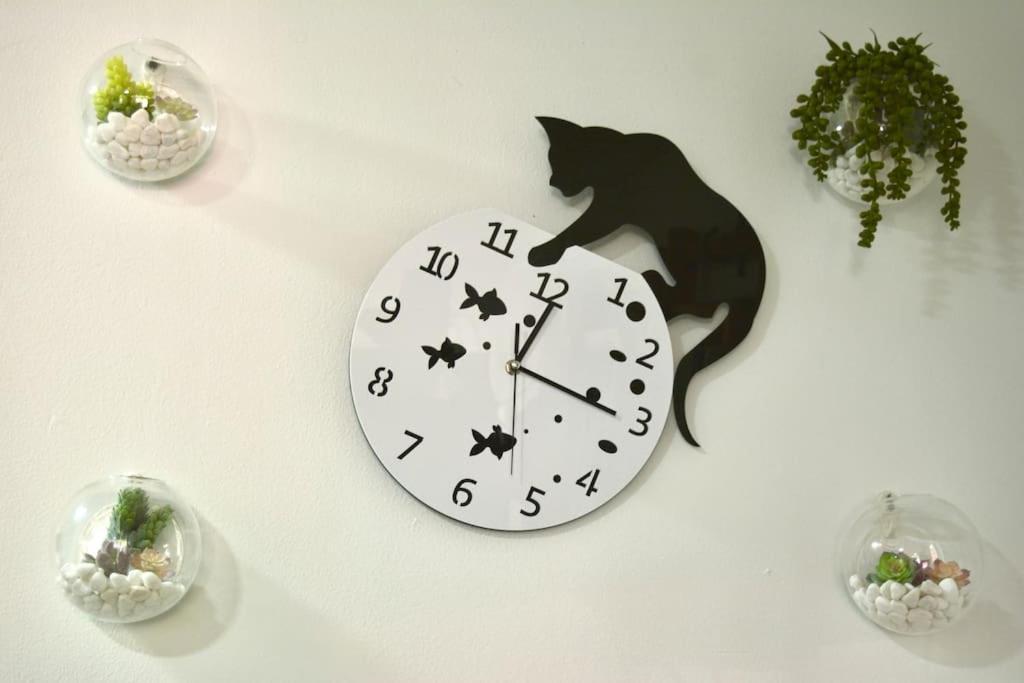 Apartamento Casa Del Gato